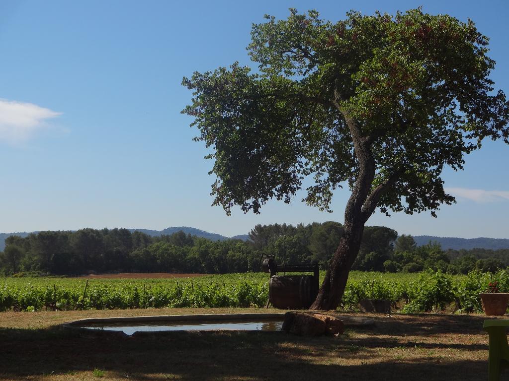 Chateau Nestuby Cotignac Exterior foto